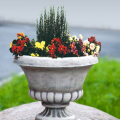 Flower Pot - 142