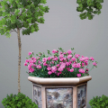 Flower Pot - 448