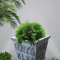 Flower Pot - 489